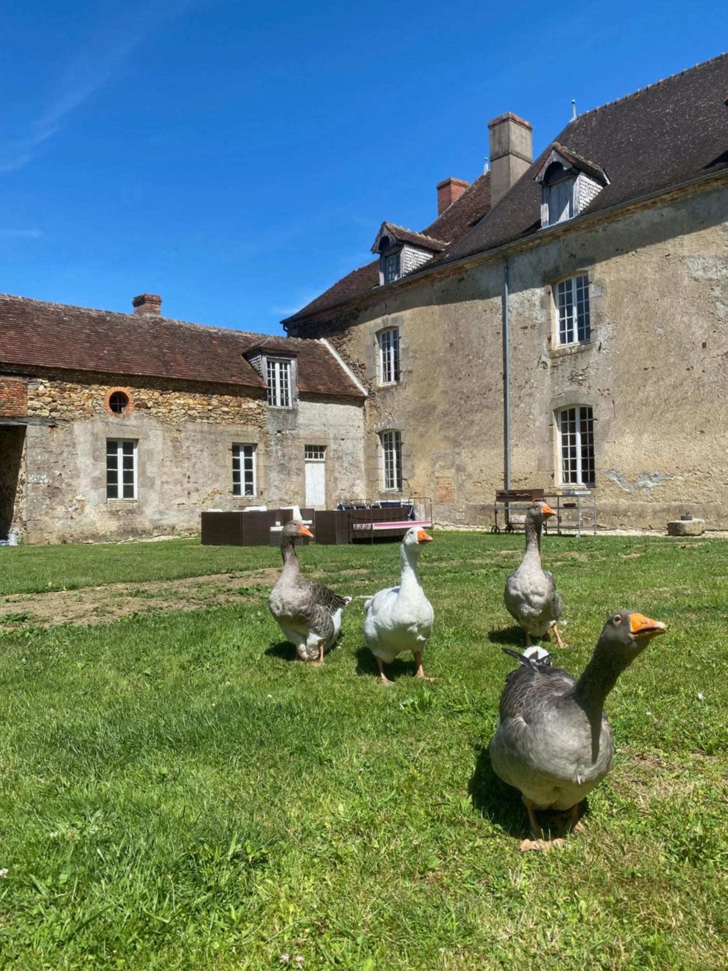 Chateau De Grandsagne Bonnat ภายนอก รูปภาพ